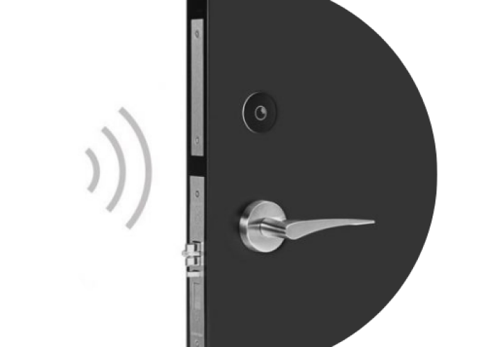 ELSAFE CANARIAS (12)